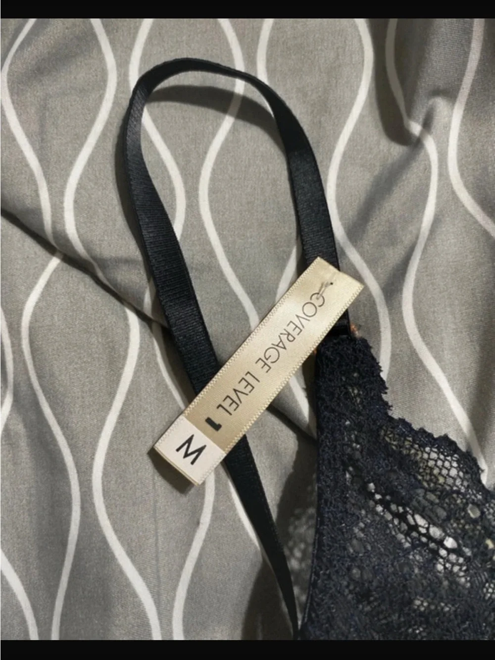 Calvin Klein Underwear sheer lace